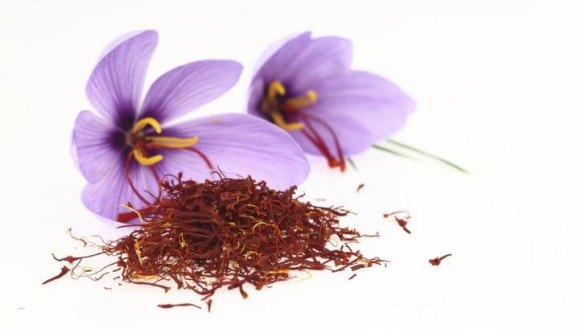Canberrans are warming to the challenge of growing saffron.