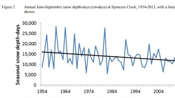 Reduced average snow depth at Spencers Creek in the Snowy Mountains.