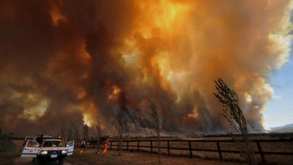 High sick-leave rate, bushfires commission told