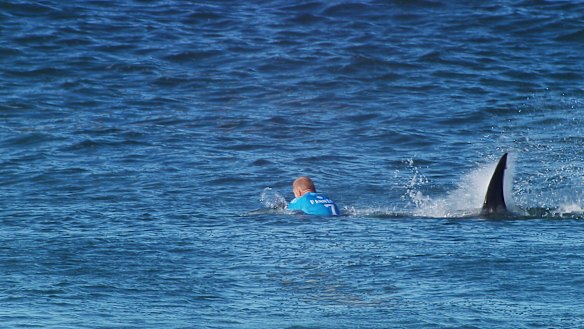 Mick Fanning and a great white shark moments before their encounter at Jeffrey's Bay in South Africa.