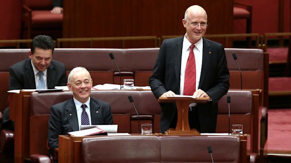 LDP Senator David Leyonhjelm delivers his maiden speech. Photo: Alex Ellinghausen