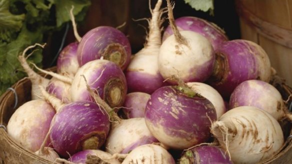 Top crop: Turnips can still be planted and are quick growing.