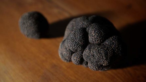 Professionally grown ... Black truffles.