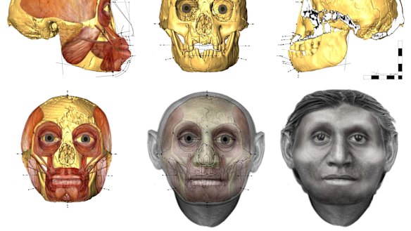 A facial approximation of the tiny hobbits, as envisaged by Dr Susan Hayes of the University of Wollongong.