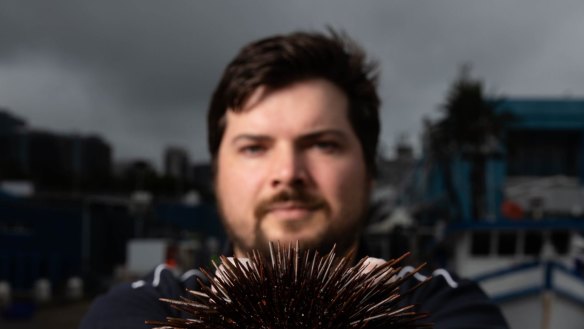 Alex Stollznow with a sea urchin at Sydney Fish Market. 