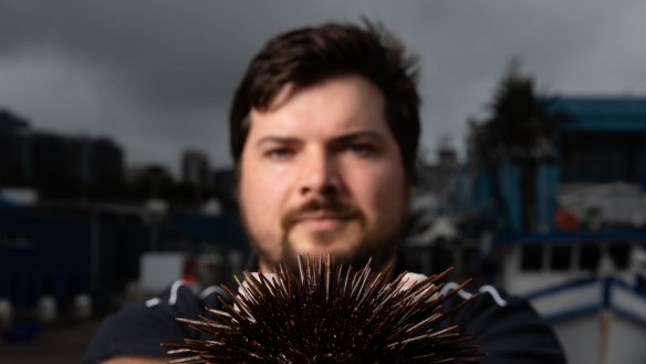 Alex Stollznow with a sea urchin at Sydney Fish Market. 