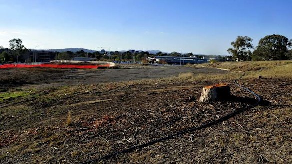 Development tycoon decides less is more as market reality hits hard