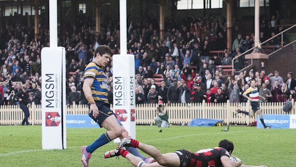 Halcyon days: Norths send fans into rapture.