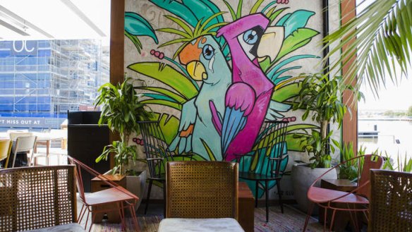 Betti Bravo's large parrot mural.