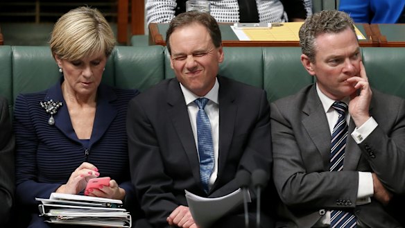 Environment Minister Greg Hunt in question time on Wednesday.