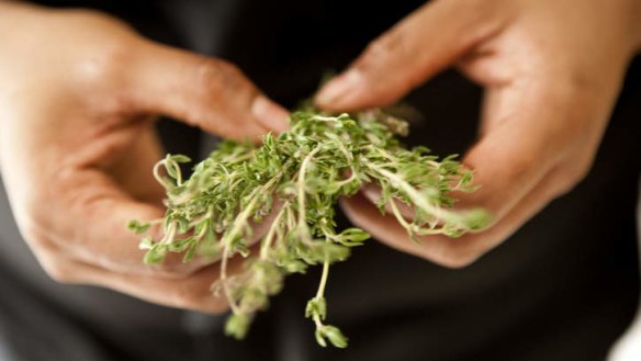 It's thyme: Fresh herb sprigs being prepared for a fennel and thyme tart.