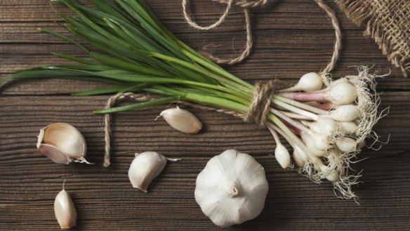 Young spring garlic is delicious when added to soups or pasta.