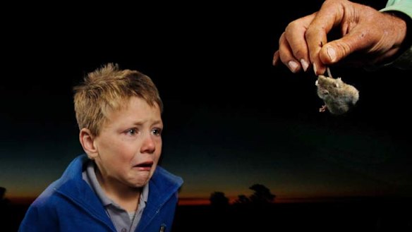 Mice invasion ... Environmental conditions have seen numbers of mice increase in significant numbers across four states including NSW.