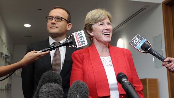 Greens leader Senator Christine Milne addresses the media during a press conference at Parliament House on Wednesday. Photo: Alex Ellinghausen