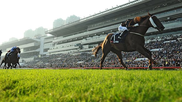 Winner: Joao Moreira boots home another winner at Sha Tin.