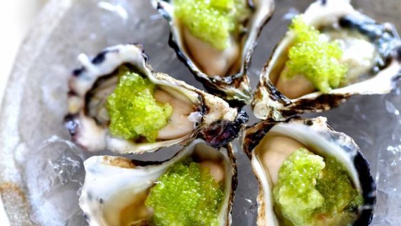 Oysters with cucumber and finger limes.