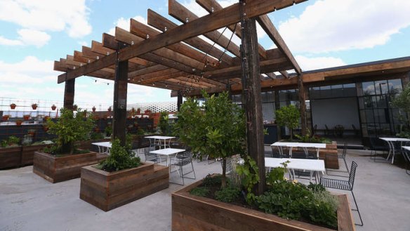 The Cellar Door's rooftop garden.