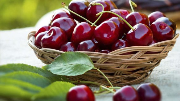 Treat time: A bountiful crop of cherries this year.