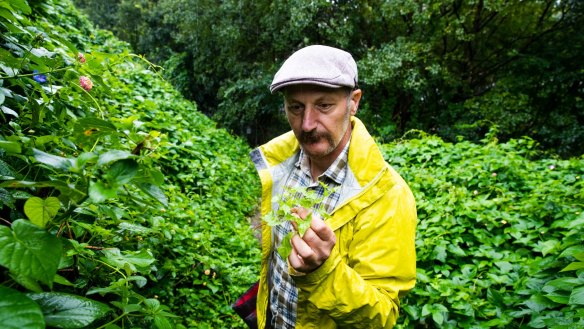 The forest is generous this year says foraging expert Diego Bonetto.