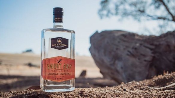 2016 MFWF Angry Ant Gin will be launching at Melbourne Museum's Bugs Alive! exhibition.