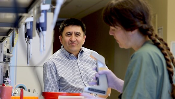 Shoukhrat Mitalipov: "Really... our program is toward correcting mutant genes."