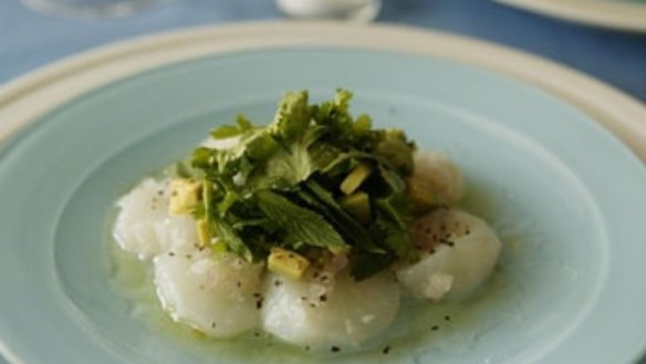 Scallop ceviche with lime and coriander
