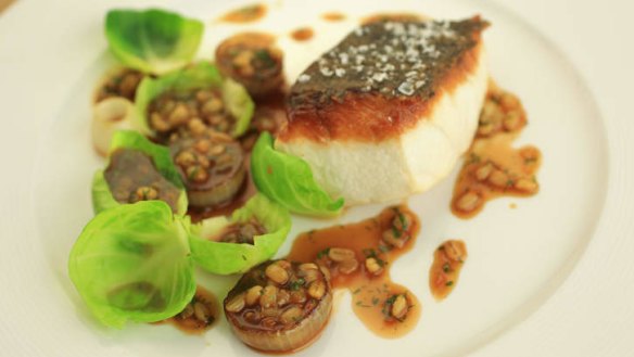 Roasted blue eye trevalla with pearl barley.