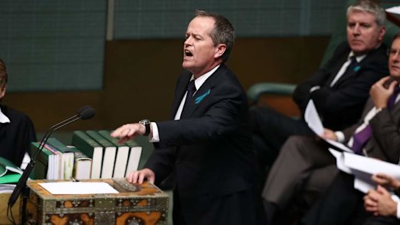 Opposition Leader Bill Shorten defends Senator Stephen Conroy. Photo: Alex Ellinghausen