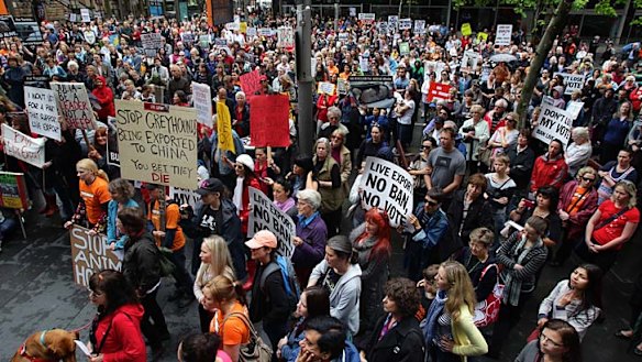 Thousand rally in Sydney against live animal exports