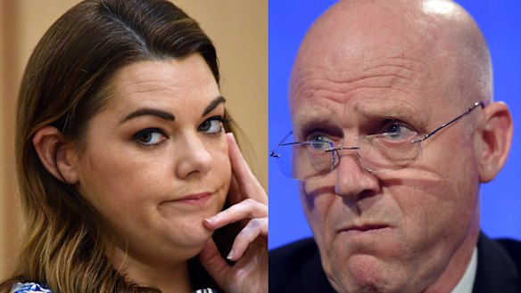 Sarah Hanson-Young and David Leyonhjelm are on the precipice of a defamation lawsuit.