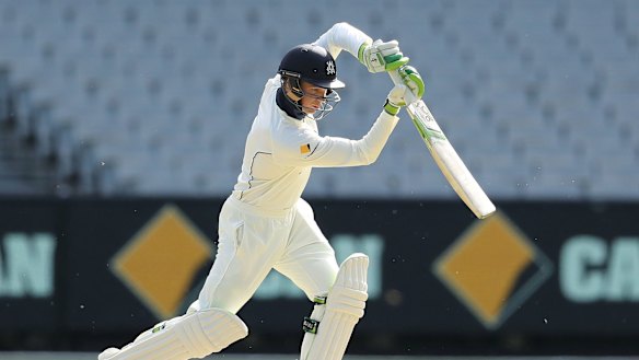 The future: Peter Handscomb in action for Victoria.