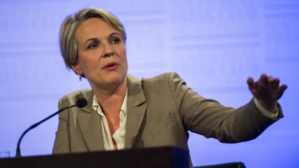 Labor's foreign affairs spokeswoman Tanya Plibersek says Australia can be doing more to help the global fight against Ebola.