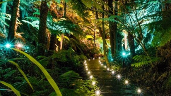 The Australian National Botanic Gardens at night.