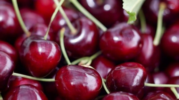Ripe for the picking: The much-anticipated cherry season has kicked off.