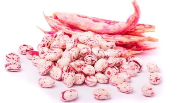 Borlotti beans don't keep their colour when cooked.