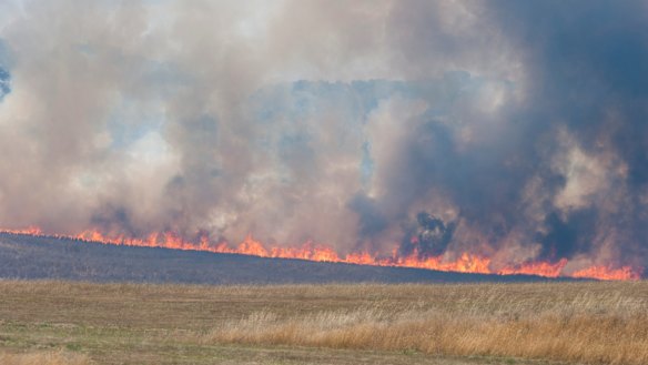 A bushfire burns through grasslands near Tarago.