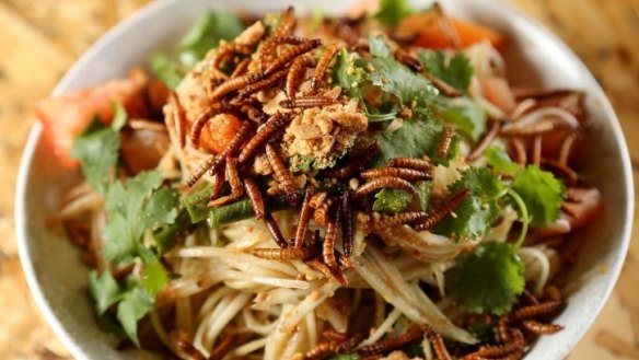Ladyboy's sum tom with mealworms will be on offer at the Night Noodle Markets.