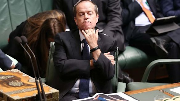 Opposition Leader Bill Shorten. Photo: Alex Ellinghausen