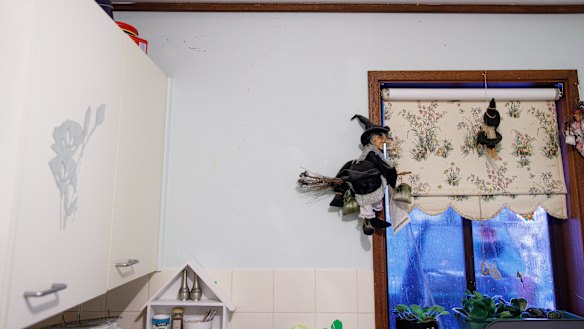 Gaps in the ceiling mean that possum urine is often seen running down the walls of Trish Casey's kitchen.