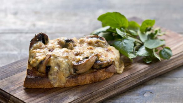 Mushroom rarebit, Frank Camorra.