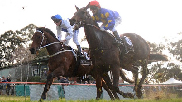 Danny Nikolic riding Smoking Aces in Seymour in August.