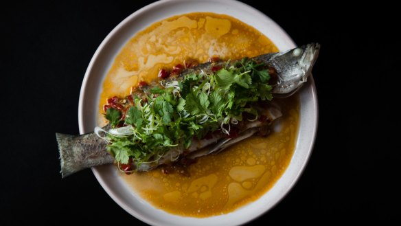 Steamed market fish, Hunan-style salted chilli  and spring onion at Lagoon Dining, Carlton.