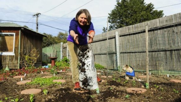 Organic growth: Petra Cram, of Rivett,  spreads compost in her garden.