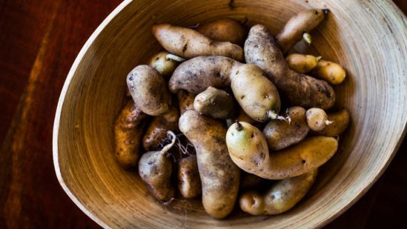 Kipflers are perfect mashed in an impressive truffle dish.