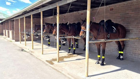 The ATC's mounted division has been disbanded.