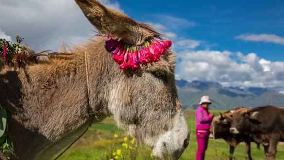 Secrets of the Sacred Valley of the Incas