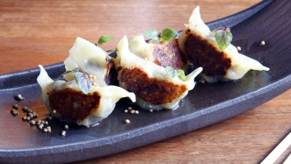 Wagyu gyoza are served with a mustard and white miso dressing.