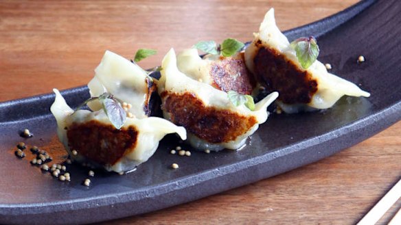 Wagyu gyoza are served with a mustard and white miso dressing.