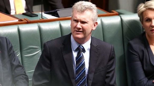 Manager of Opposition Business Tony Burke during question time. Photo: Alex Ellinghausen