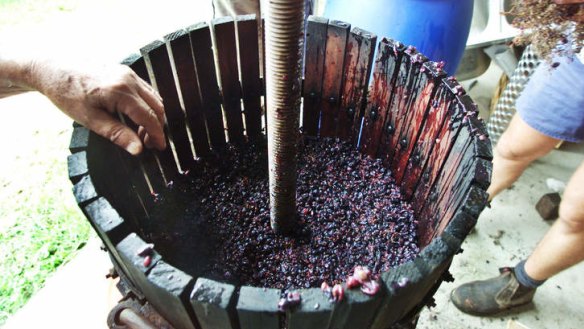 DIY job: Home-made wine doesn't have to be catastrophic.